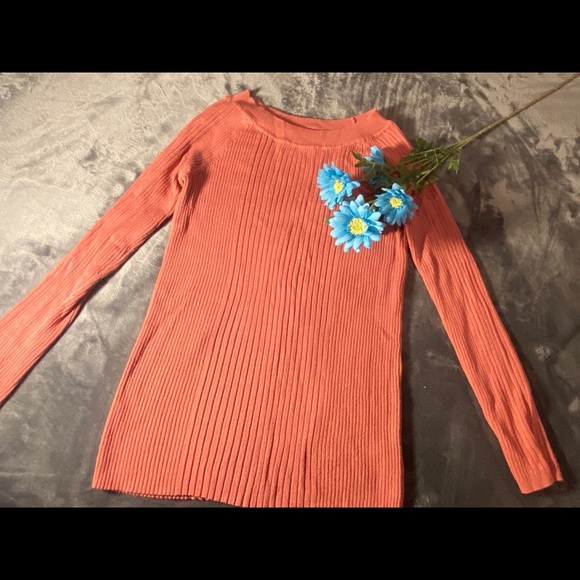 Rue21 Women's Ribbed Crew Neck Sweater - Rust/size L - Picture 2 of 8